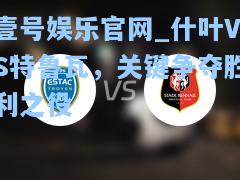 什叶VS特鲁瓦，关键争夺胜利之役